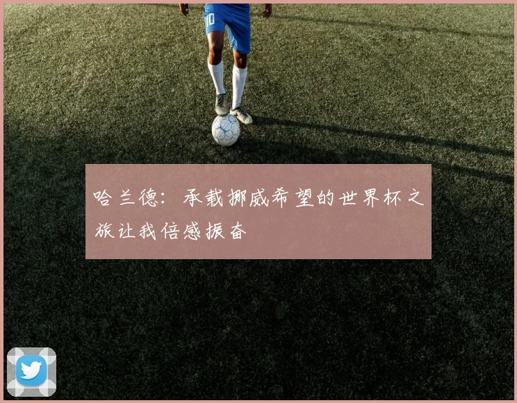 哈兰德：承载挪威希望的世界杯之旅让我倍感振奋